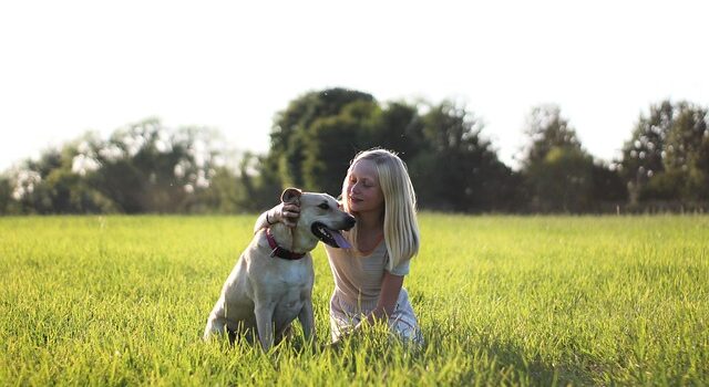Tierische Freunde im Bergischen Land