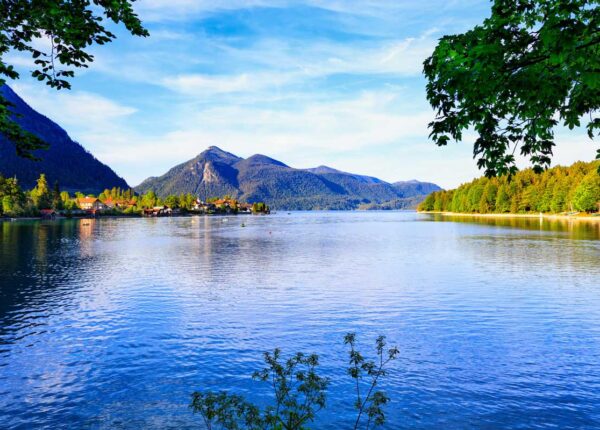 Naturparadies am Flussufer